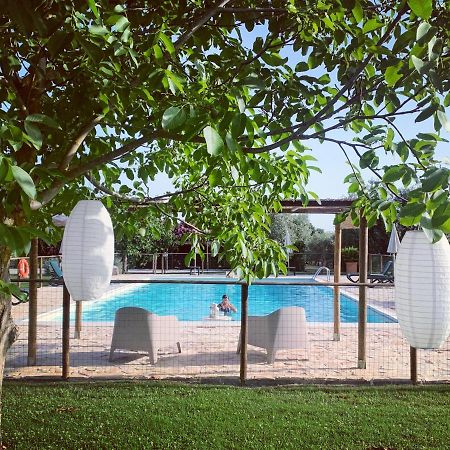 Agriturismo Il Puntoncino Марсилиана Экстерьер фото