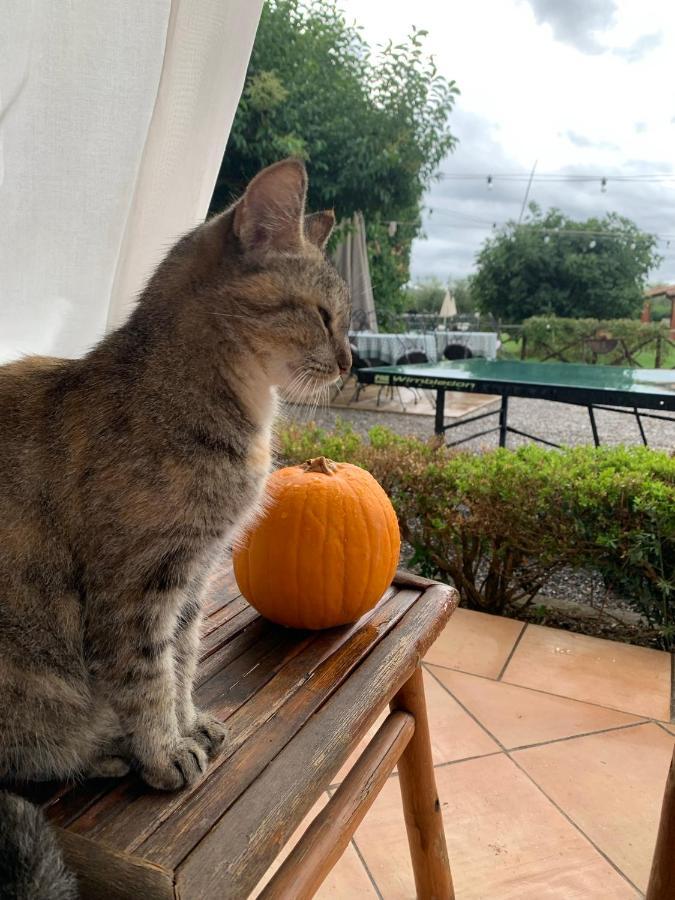 Agriturismo Il Puntoncino Марсилиана Экстерьер фото