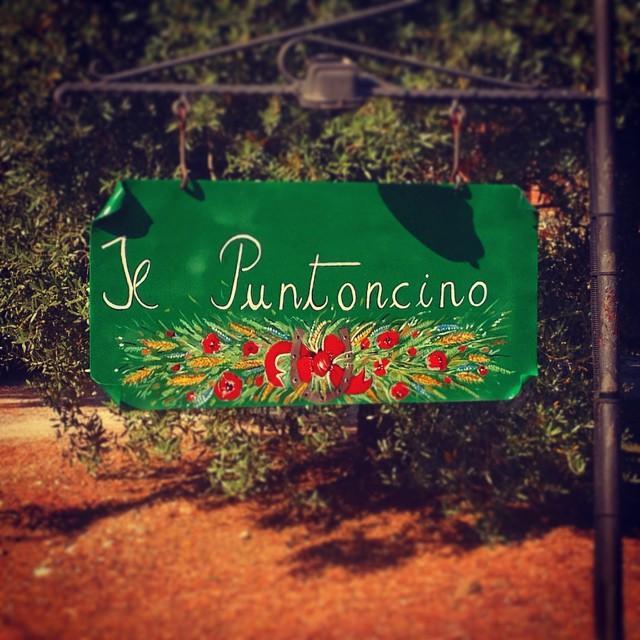 Agriturismo Il Puntoncino Марсилиана Экстерьер фото