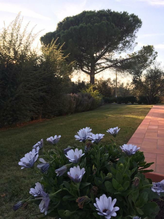 Agriturismo Il Puntoncino Марсилиана Экстерьер фото