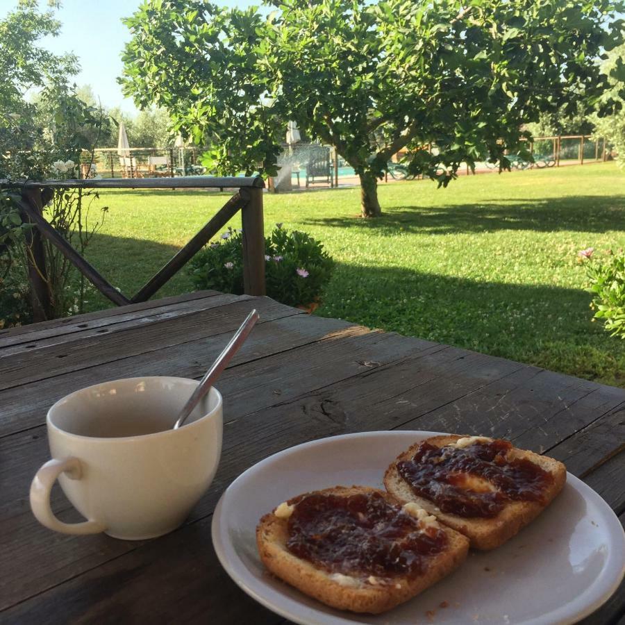Agriturismo Il Puntoncino Марсилиана Экстерьер фото